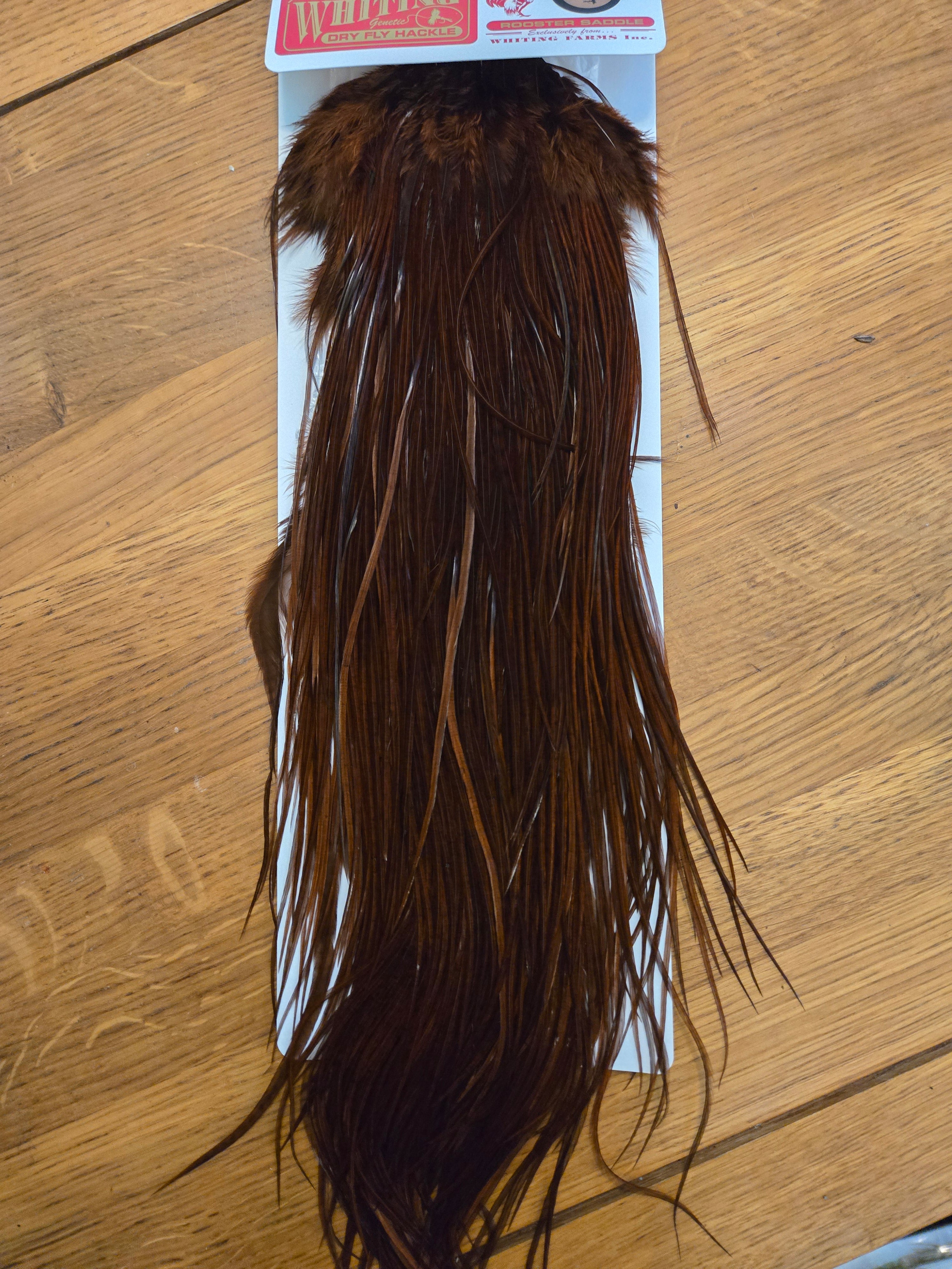 Whiting Bronze Dry Fly Hackle - Rooster Saddle - White dyed Coachman Brown