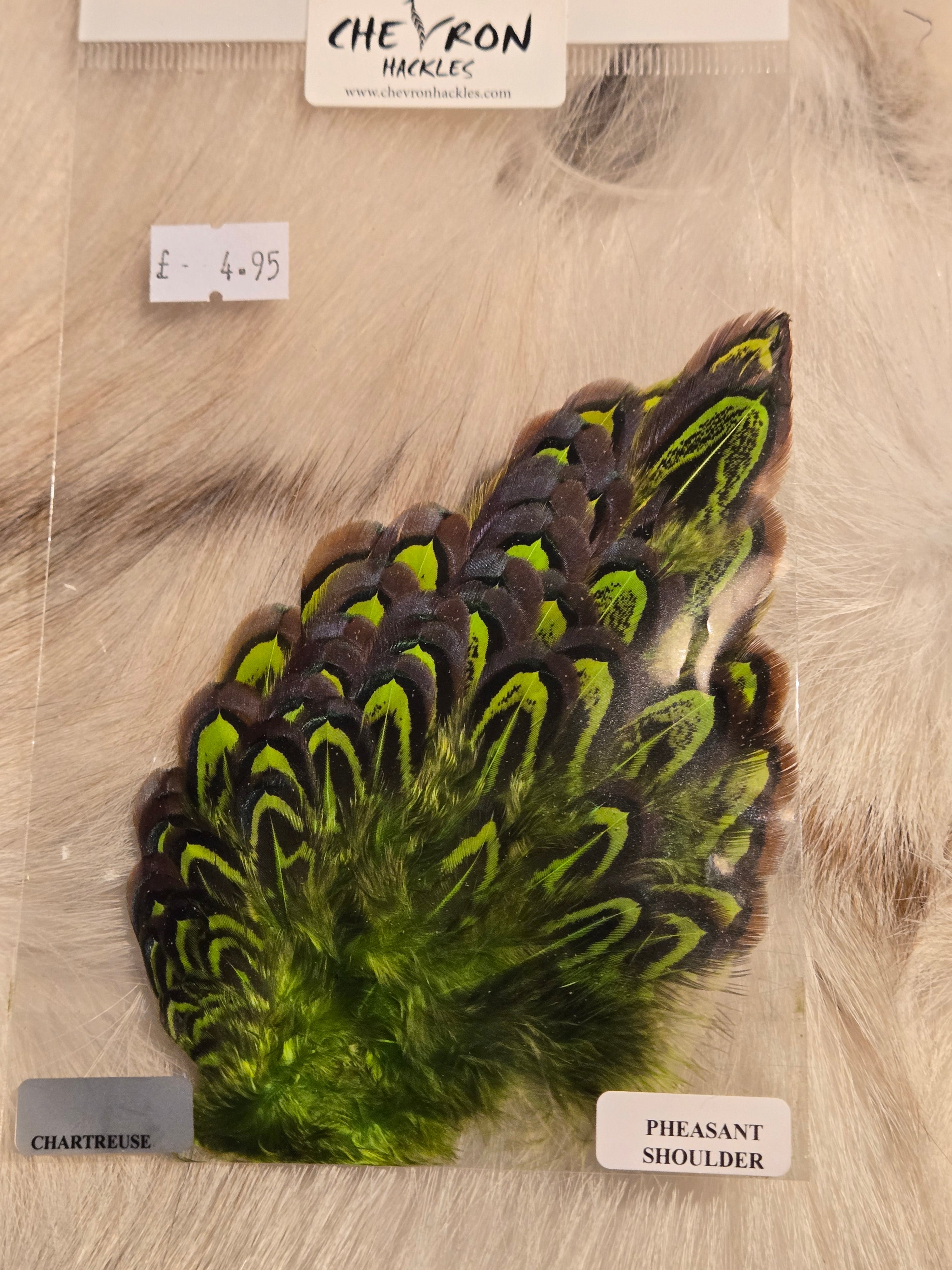 Chevron Pheasant Shoulder