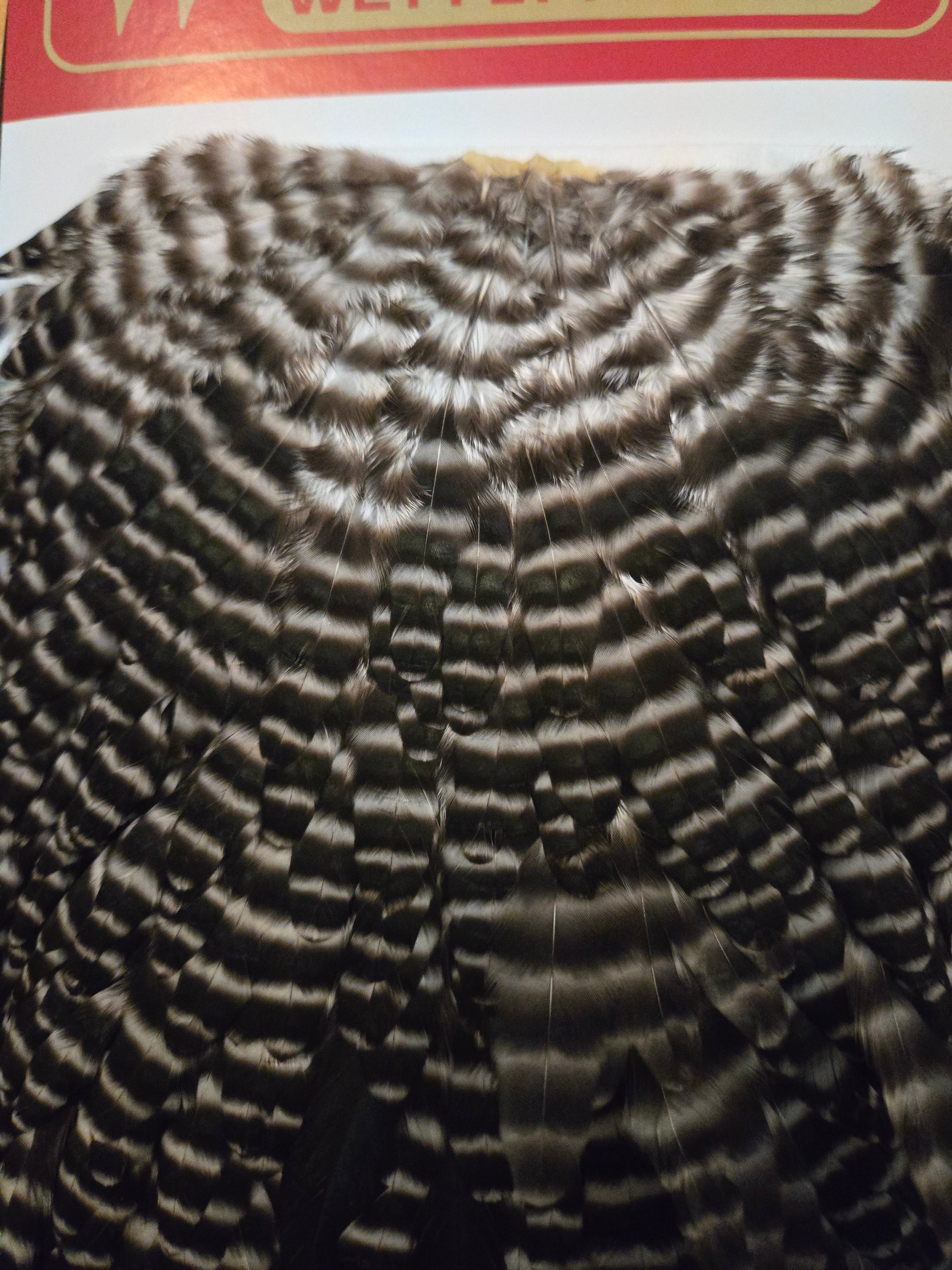 Whiting Wet Fly Hackle - Grizzly (95)