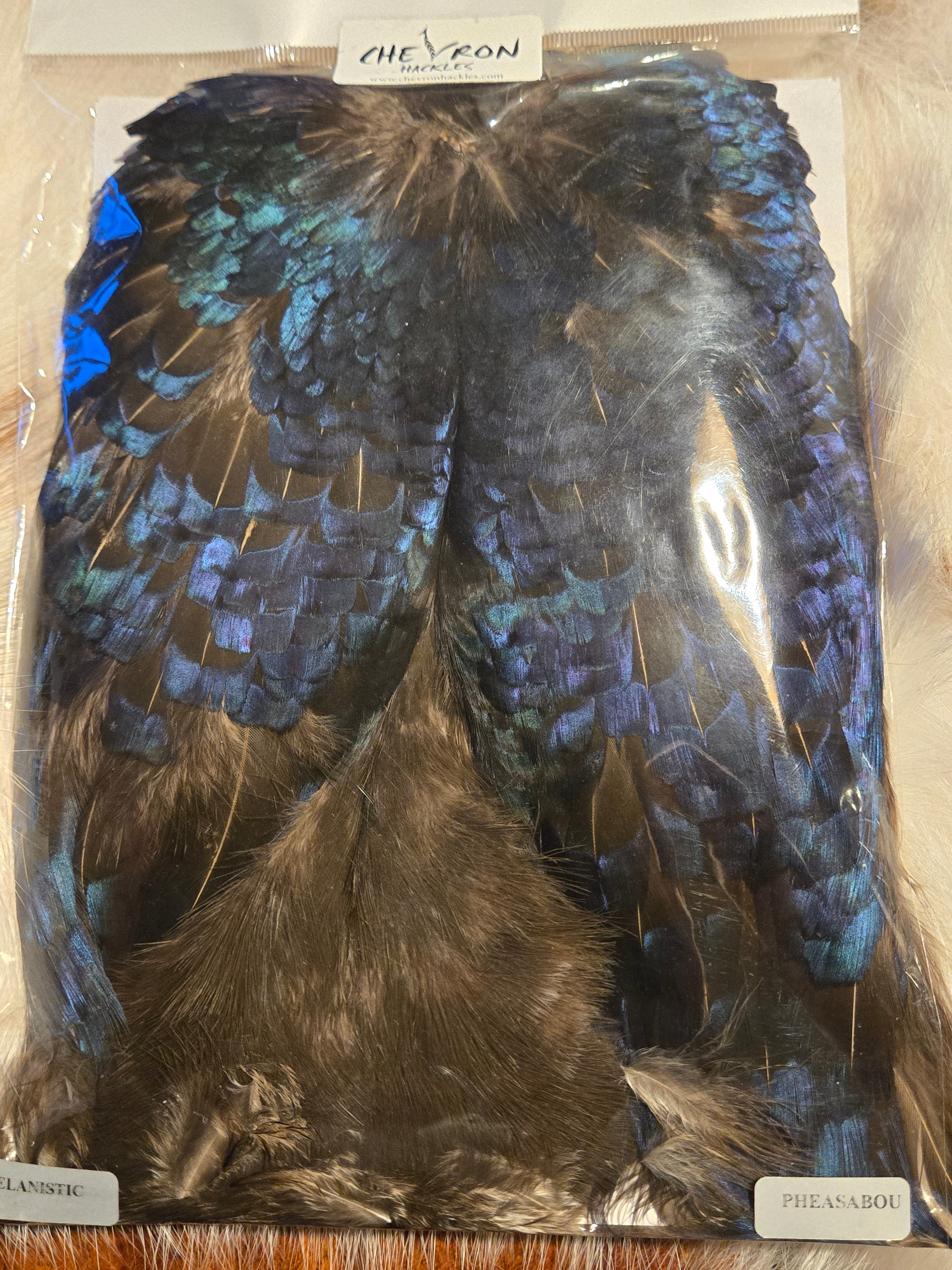 Chevron Hackles - Pheasabou