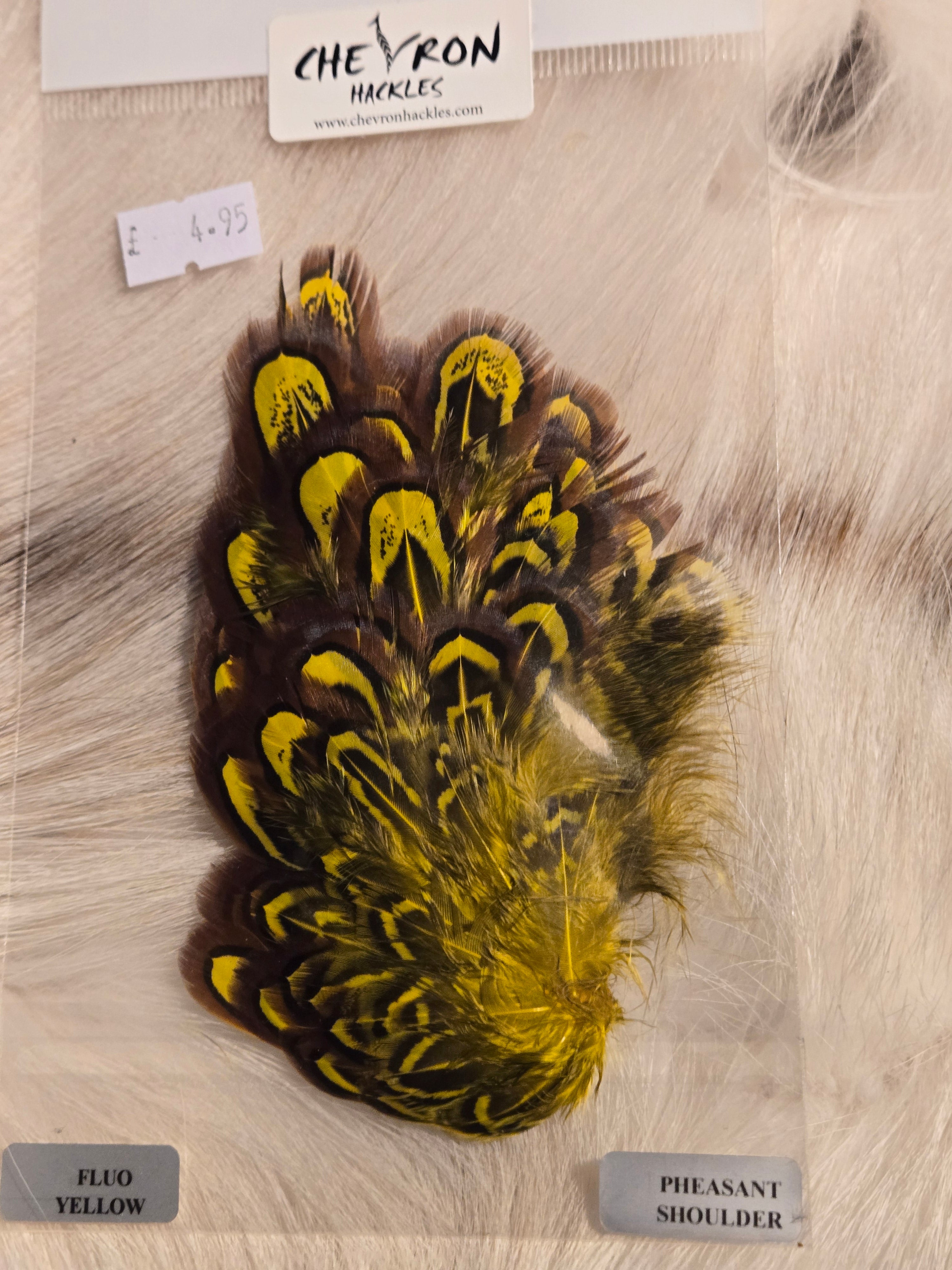 Chevron Pheasant Shoulder