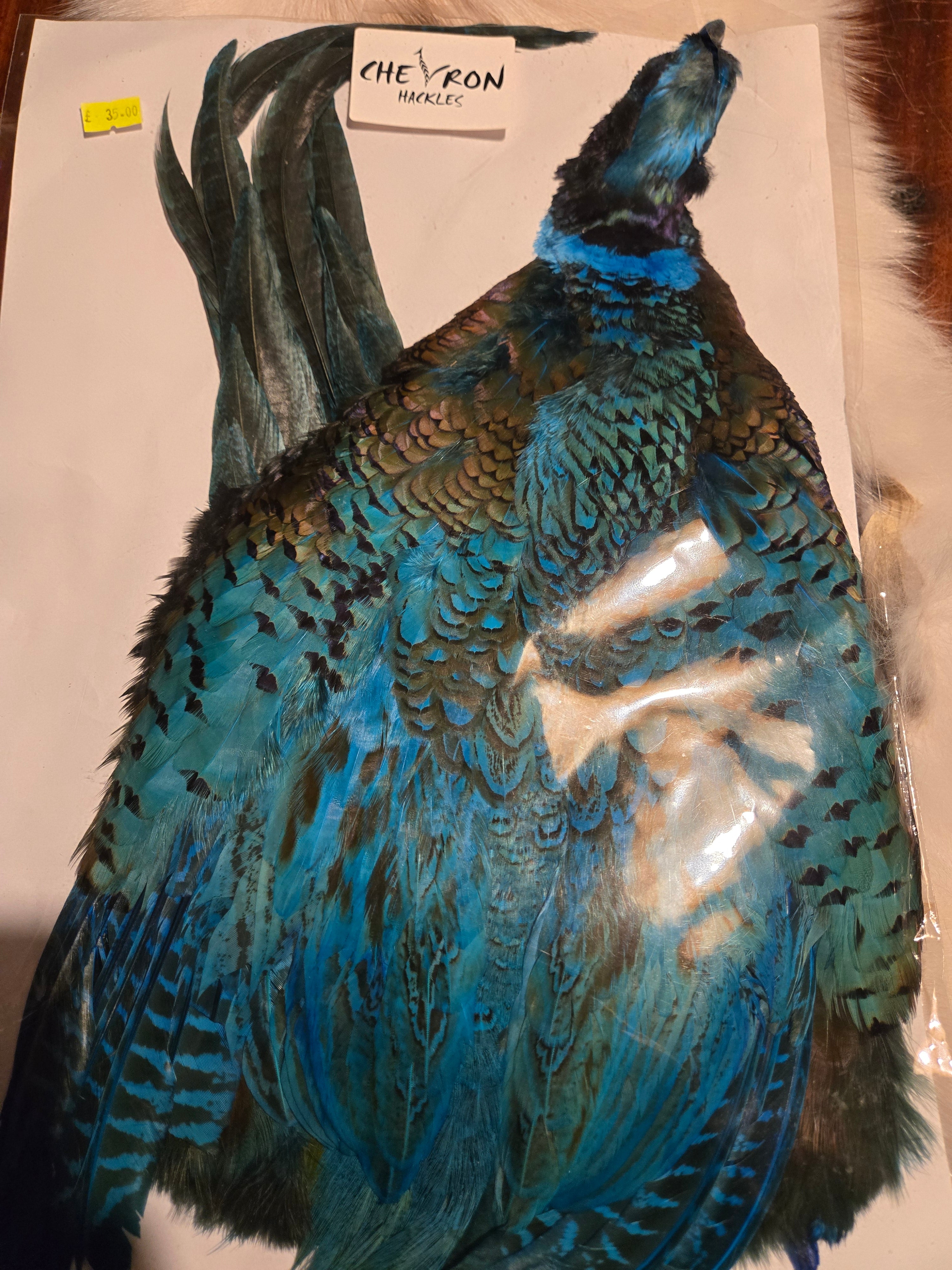 Chevron Hackles - Hen & Cock Pheasants