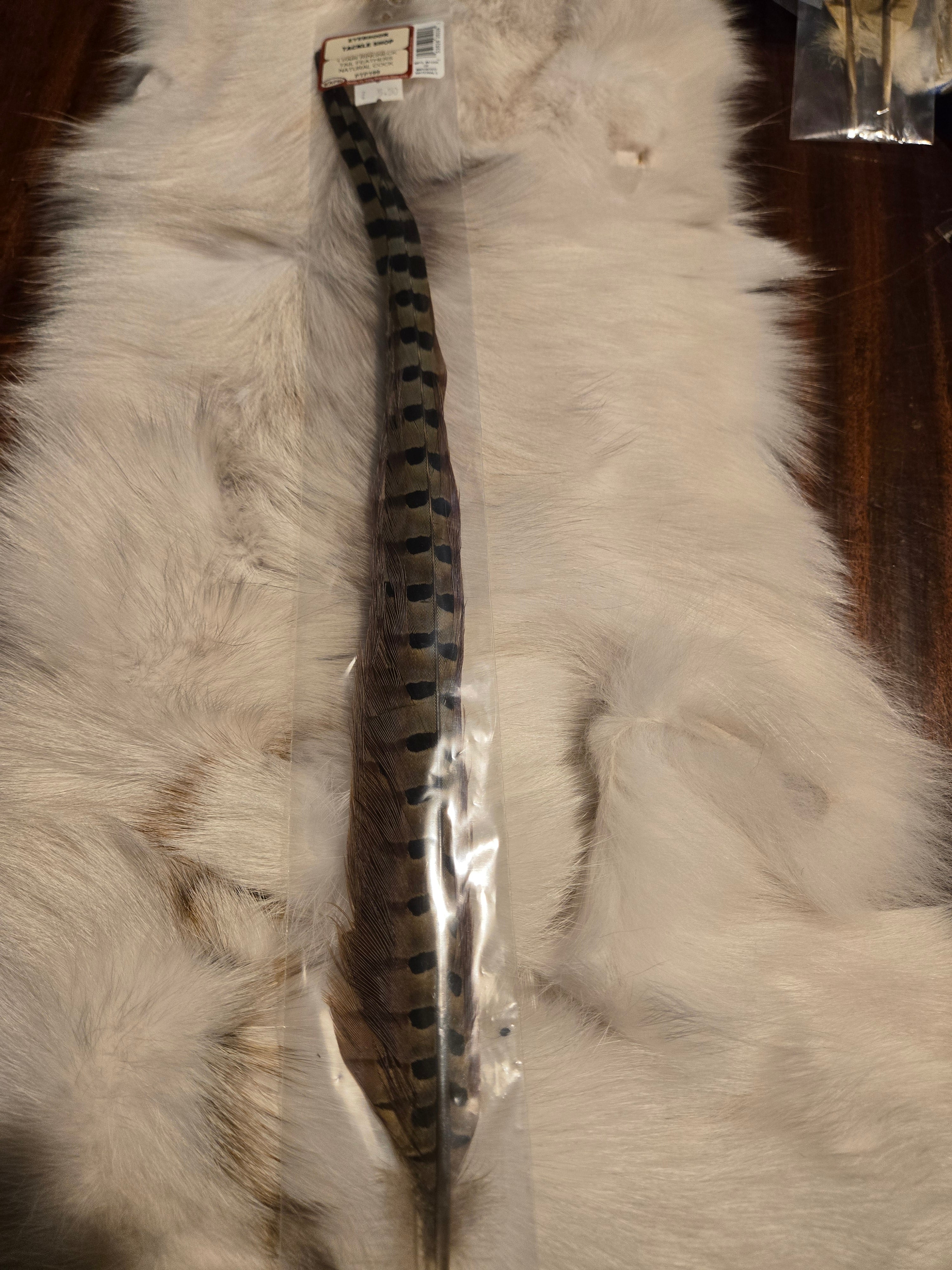 Waspi - 1 Pair RingNeck Tail Feathers