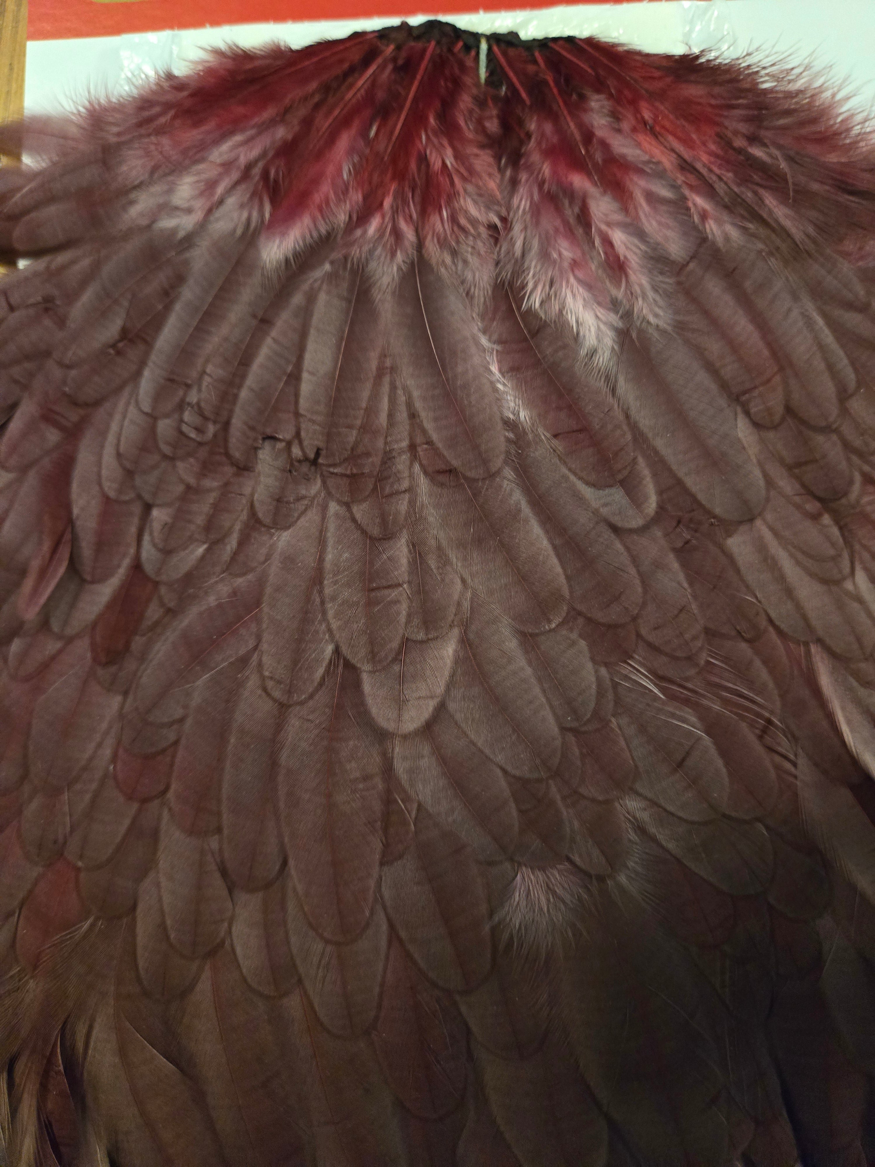 Whiting Wet Fly Hackle - White / Claret (94)