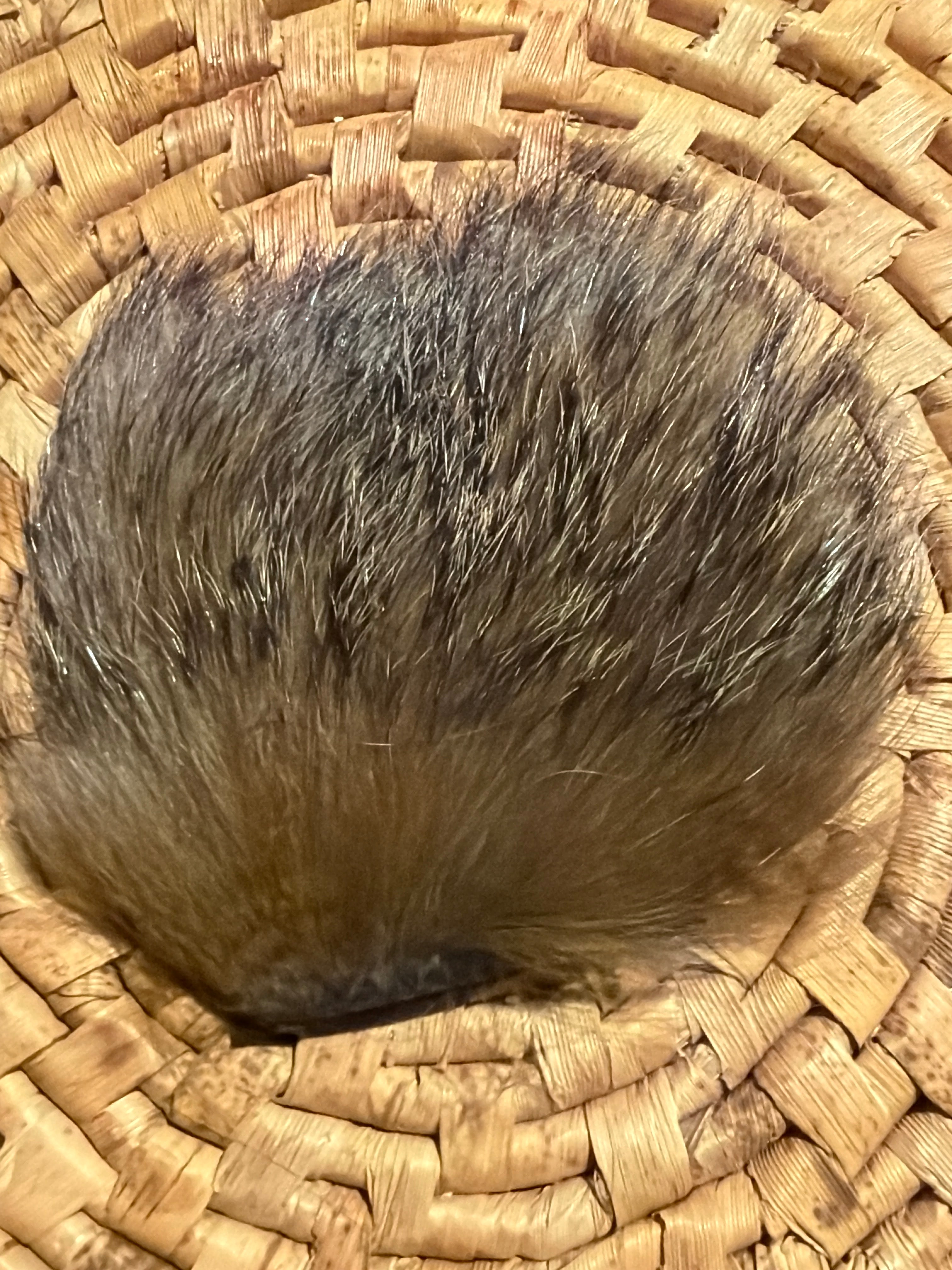 Nature's Spirit Badger Premium Wing Fur 1.5" x 2"