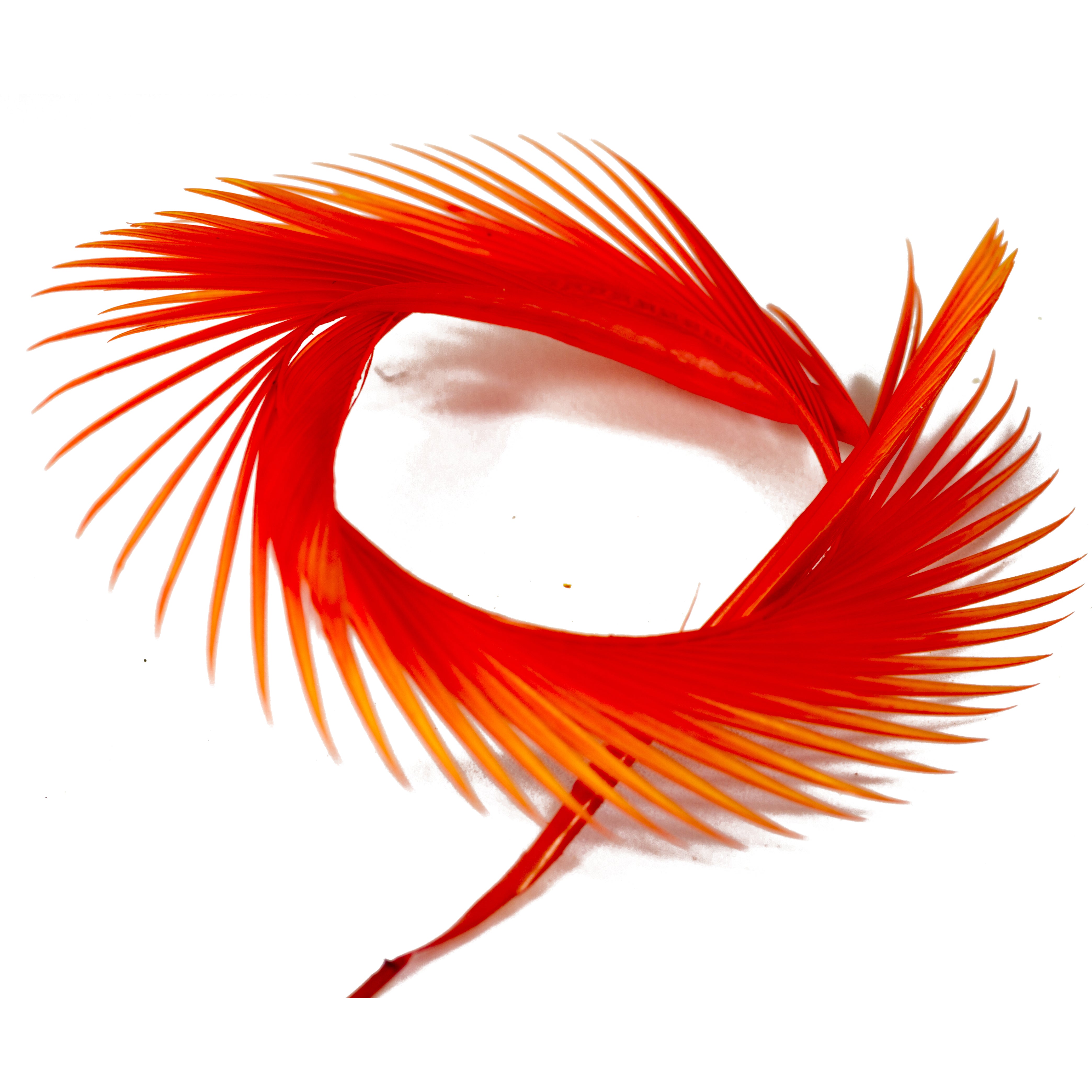 Semperfli Inferno Goose Biots
