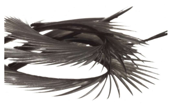Semperfli Natural Range Goose Biots