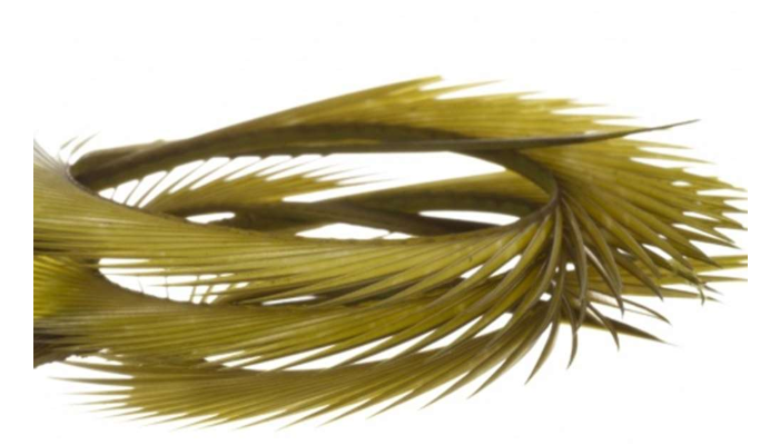 Semperfli Natural Range Goose Biots
