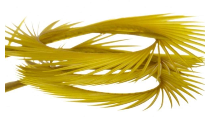 Semperfli Natural Range Goose Biots
