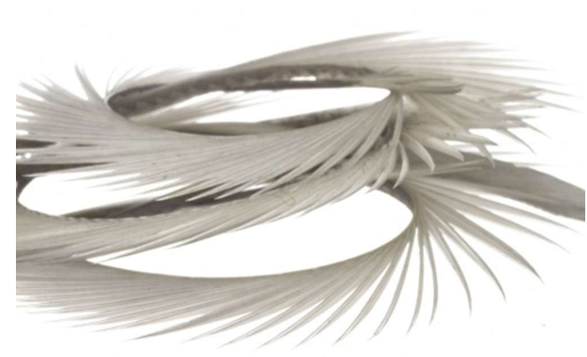 Semperfli Natural Range Goose Biots