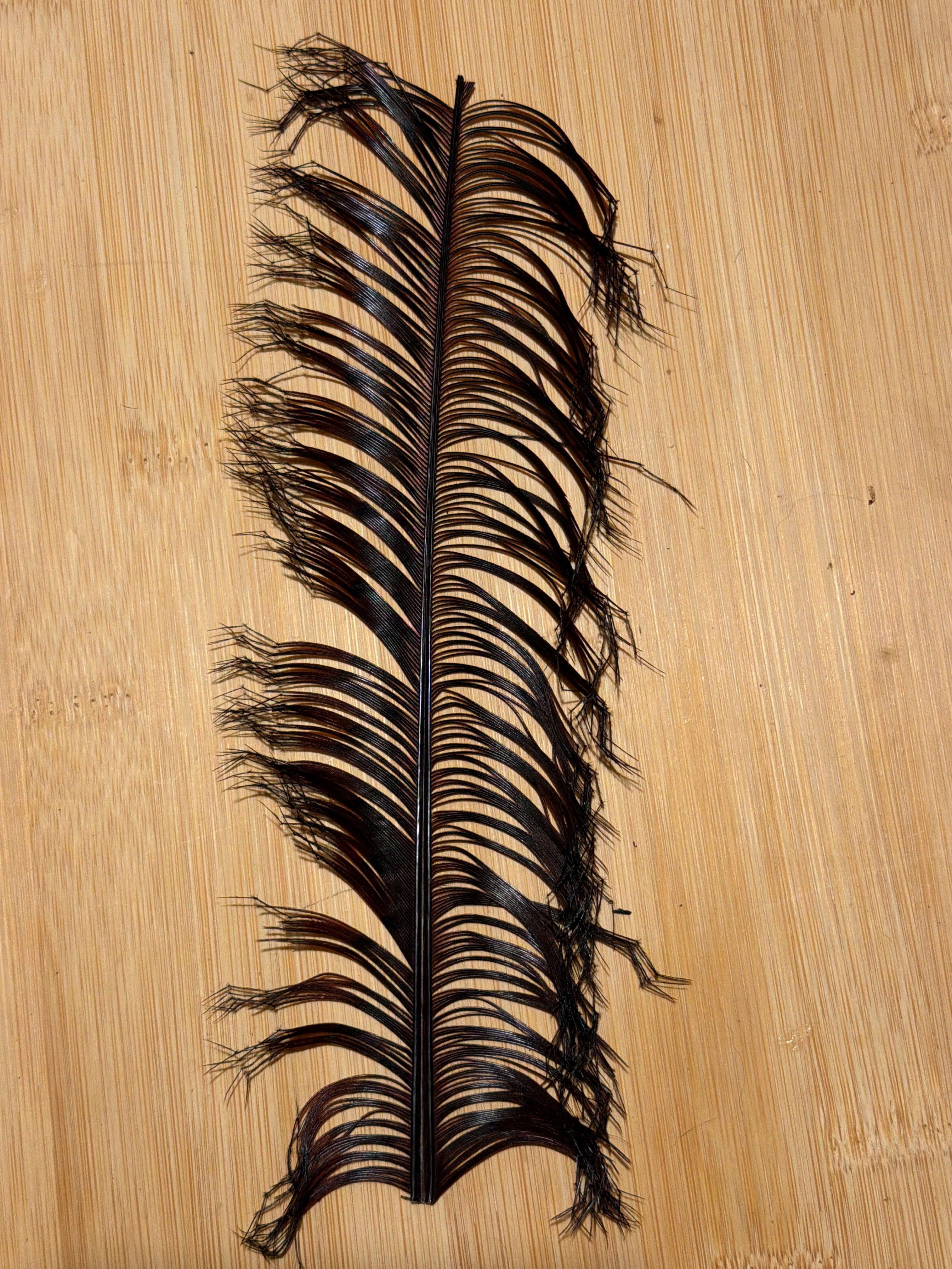 Kindale - Pheasant Tail - Double Knotted Legs