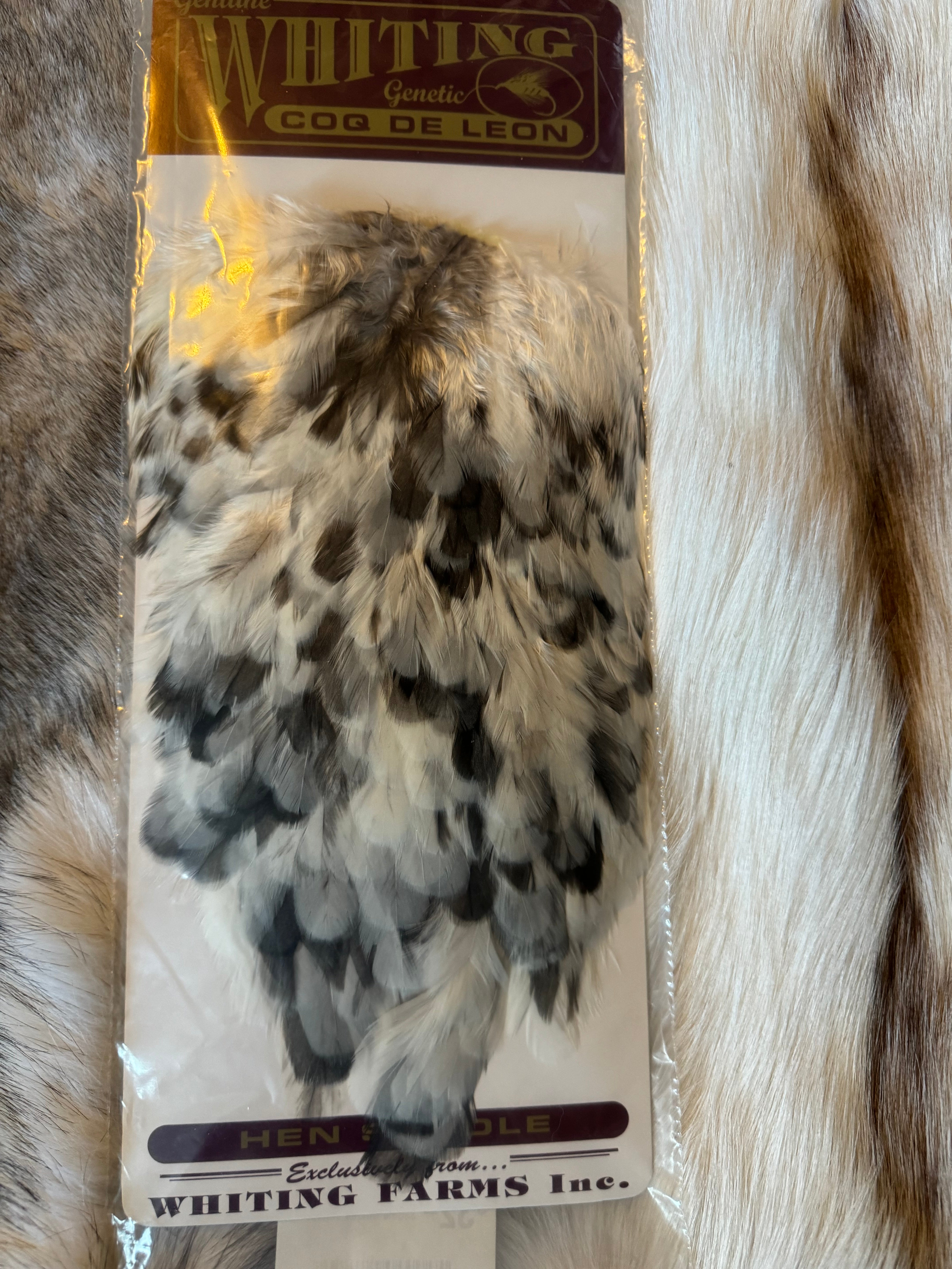 Whiting Capes - COQ DE LEON - Hen Saddle - Unique Variant