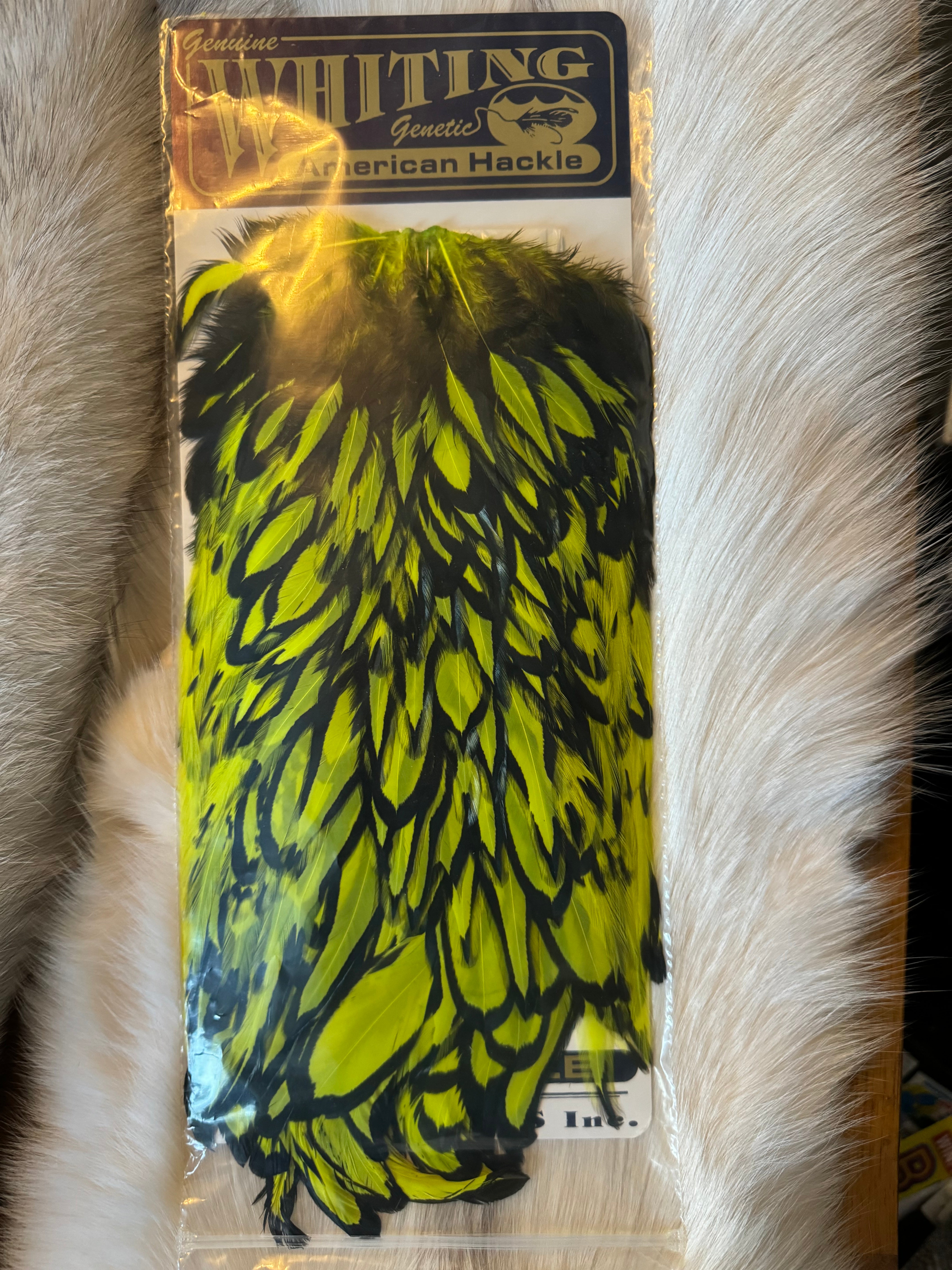 Whiting Capes - American Hackle - Hen Saddle - Black Laced White / Fl. Yellow - Chartreuse (2)