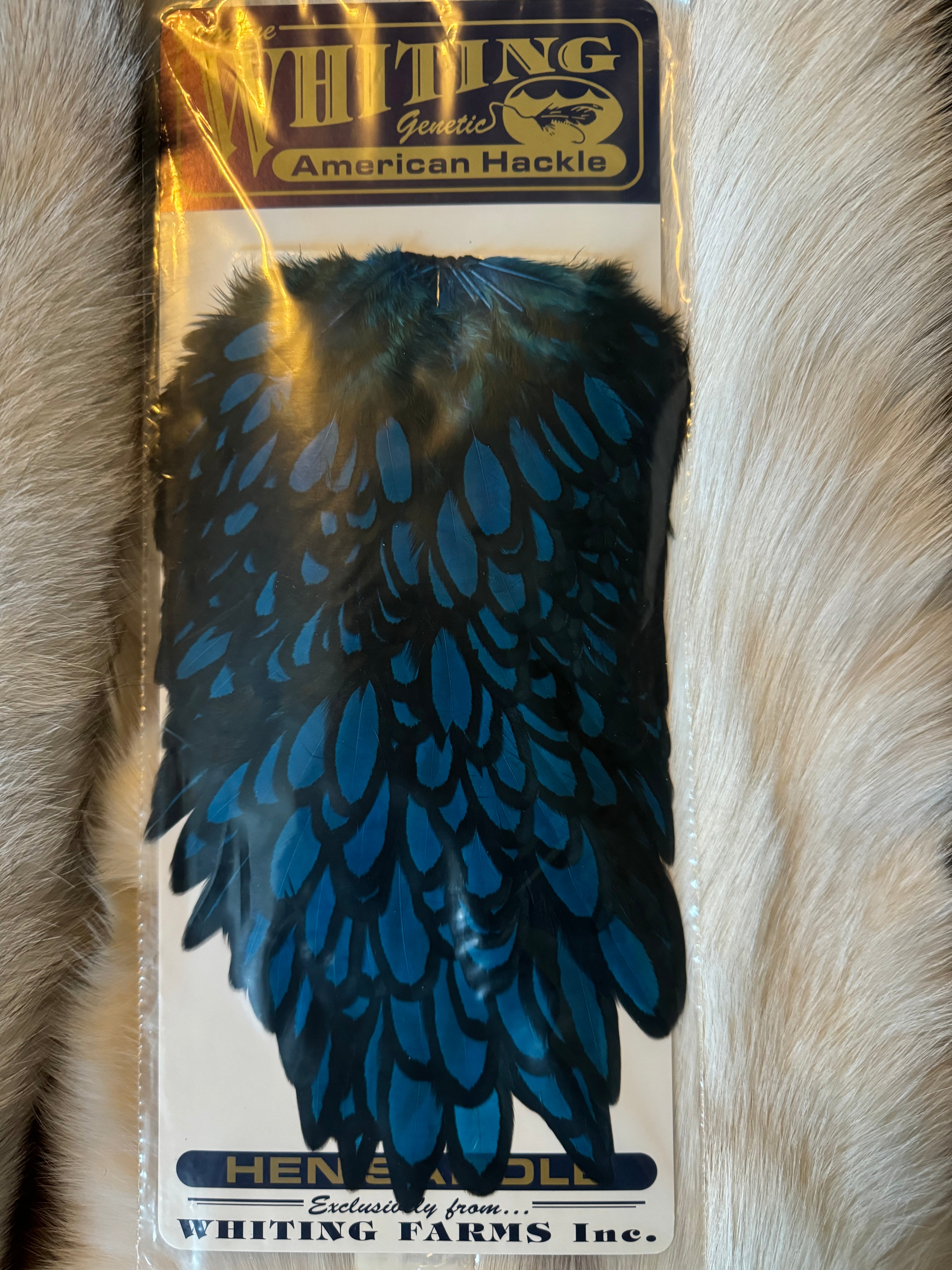 Whiting Capes - American Hackle - Hen Saddle - Black Laced White / Dyed Kingfisher