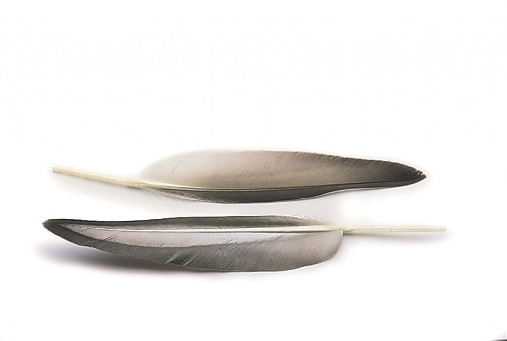 Mallard Duck Wing Quills - Natural Grey