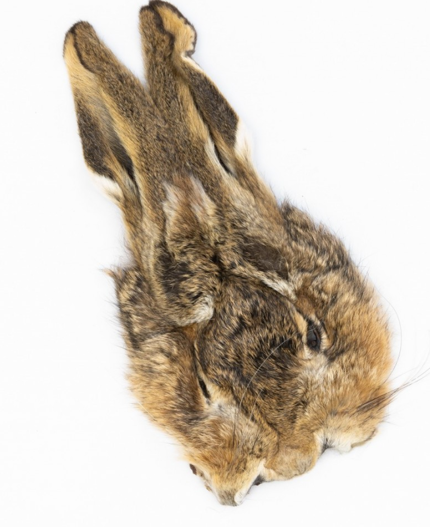Veniard Hare's Mask