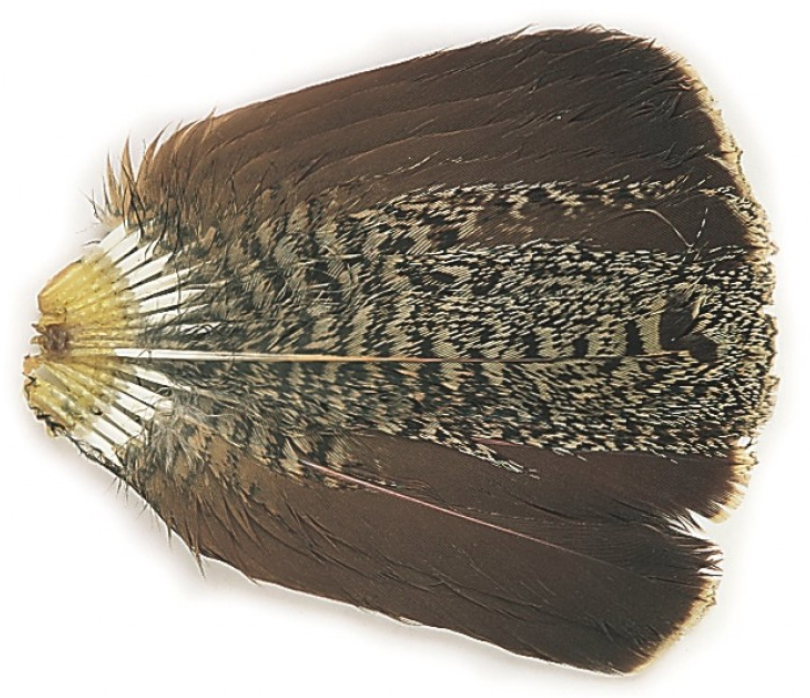 Veniard English Partridge - Complete Tail