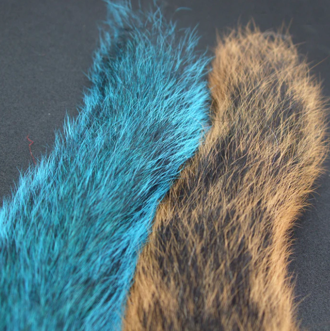 Squirrel Tail