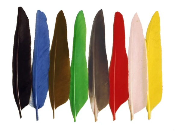 Duck Quill Wings