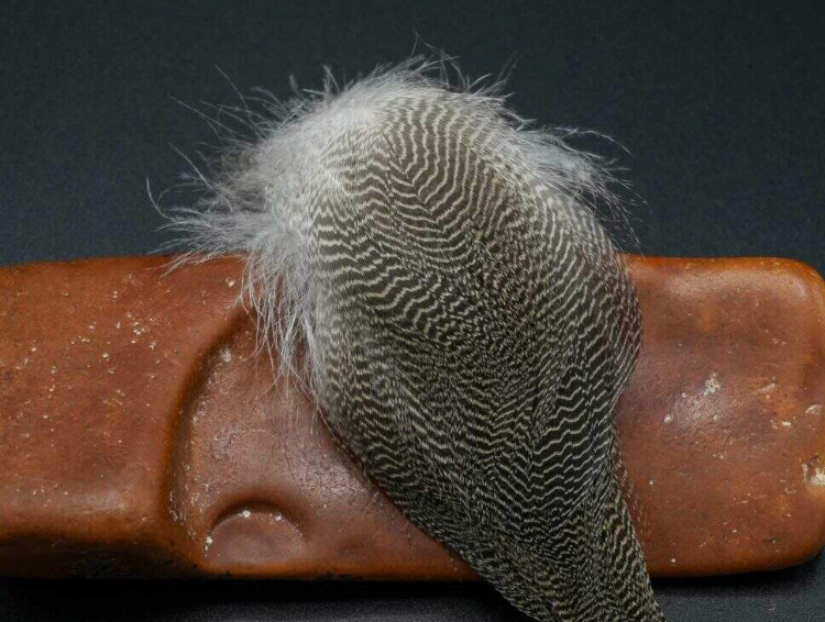 Wigeon Flank - Natural