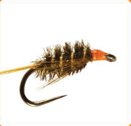 Stillwater - Hot Diawl Bach