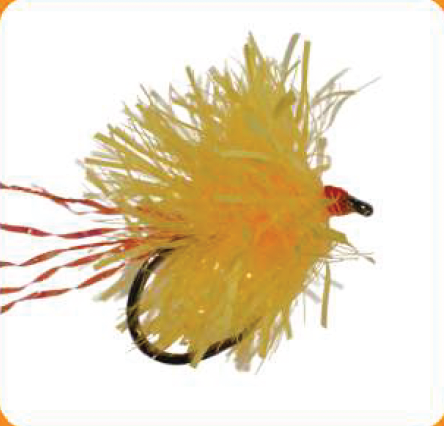 Stillwater Blob Fl. Sunburst