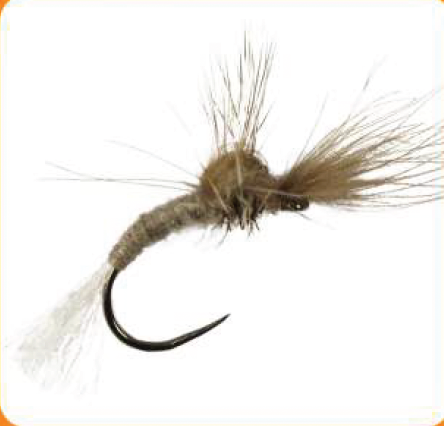 Dry Fly Adams Gray CDC Emerger