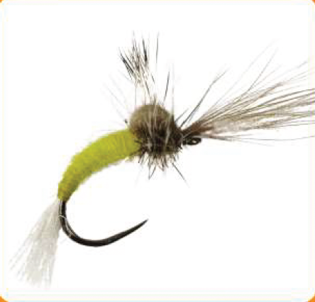 Dry Fly Yellow CDC Emerger