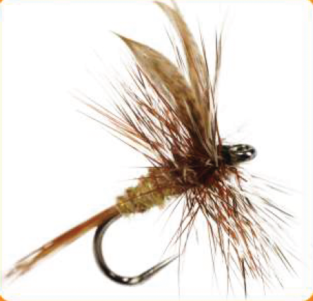 Dry Fly March Brown