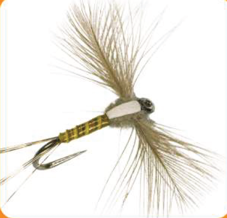 Dry Fly Spent Spinner