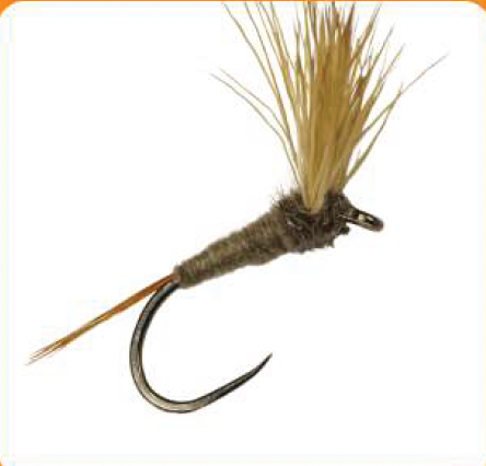 Dry Fly Compara Dun Natural
