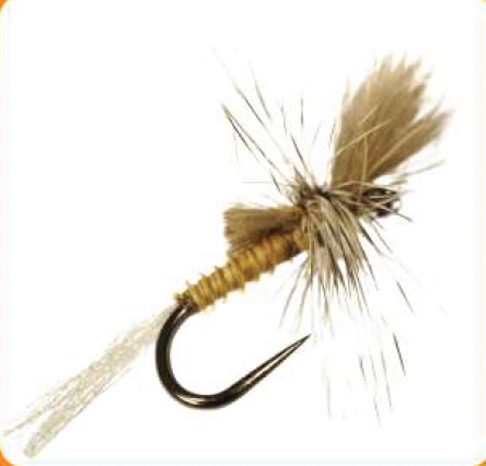 Dry fly Brown Cripple