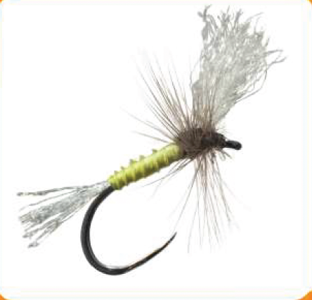 Dry Fly Yellow Cripple
