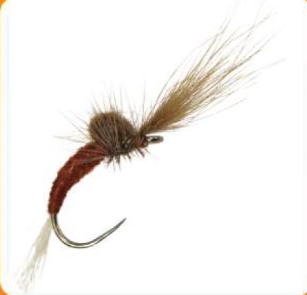 Dry Fly Rusty Brown CDC Emerger