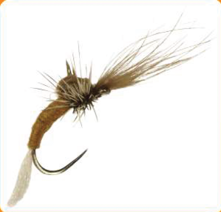 Dry Fly Brown CDC Emerger