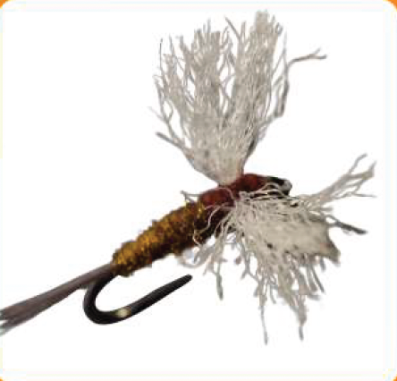 Dry Fly Rusty Brown Antron Spinner