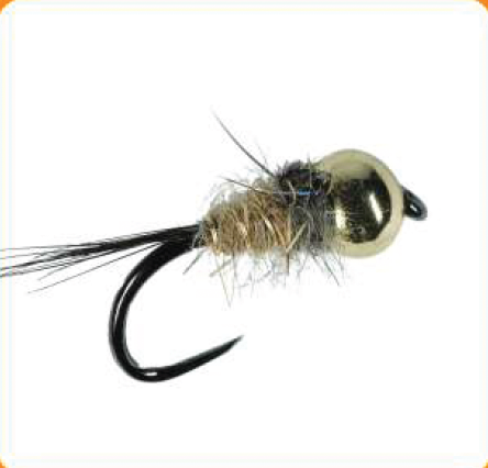 Hares Nymph