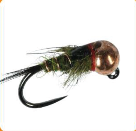 Nymph Olive Hares Ear