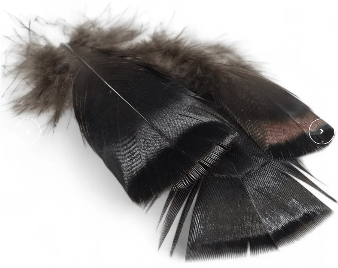 Kindale Bronze Turkey Body Plumage 2g