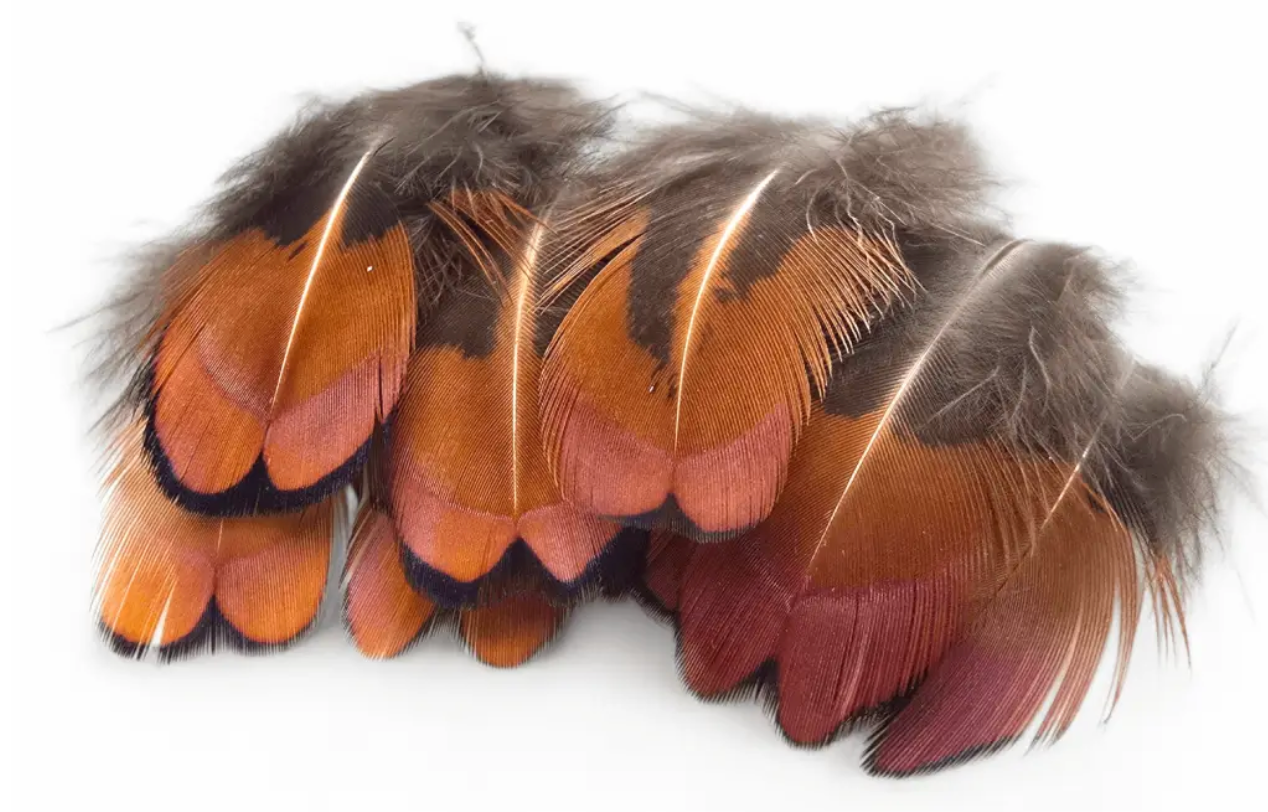 Kindale Cock Pheasant Brown Neck 2g Natural