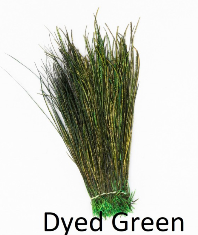 Veniard: Peacock Herl