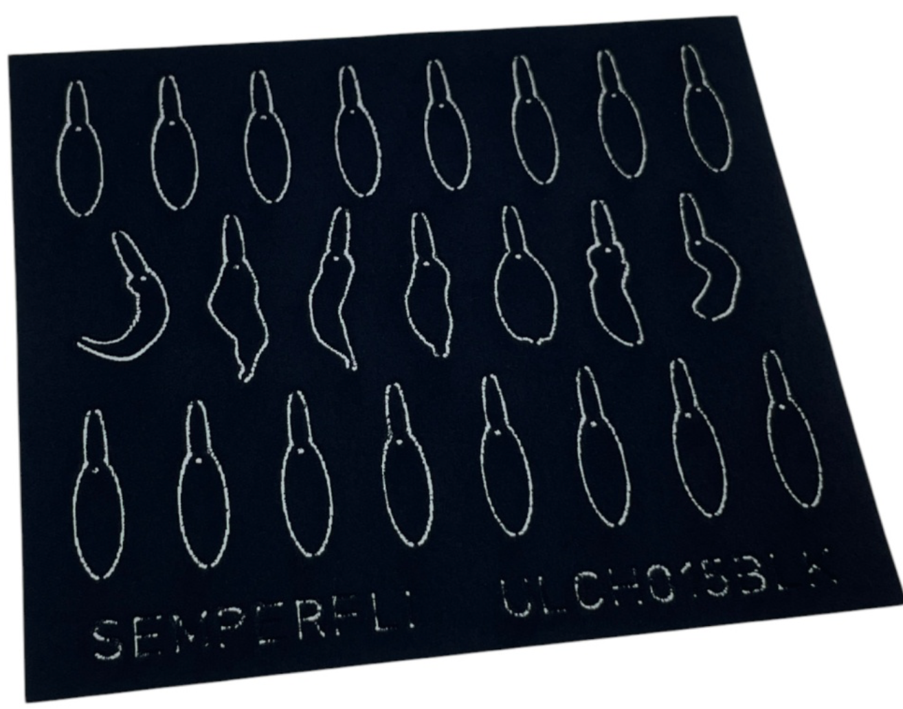 ABC Leech Bodies