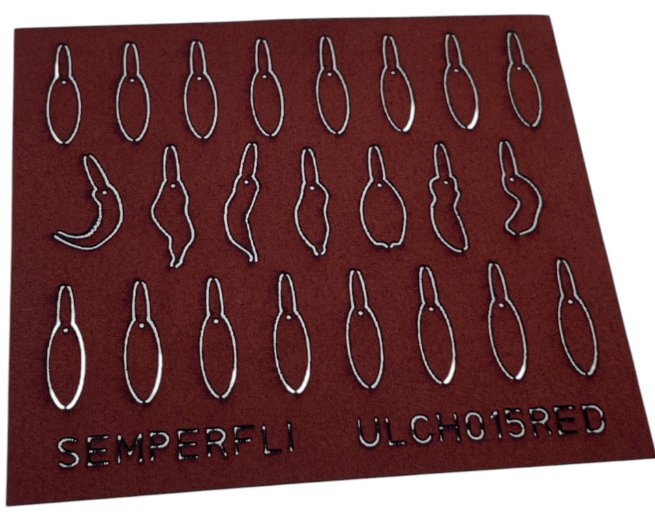 ABC Leech Bodies