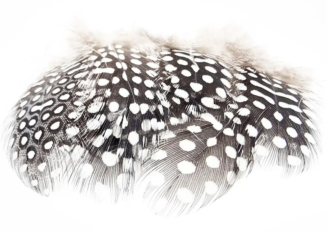 Kindale Guinea Fowl - 2g Bag