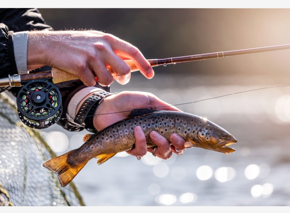 Snowbee Knotted French Leader - 16ft