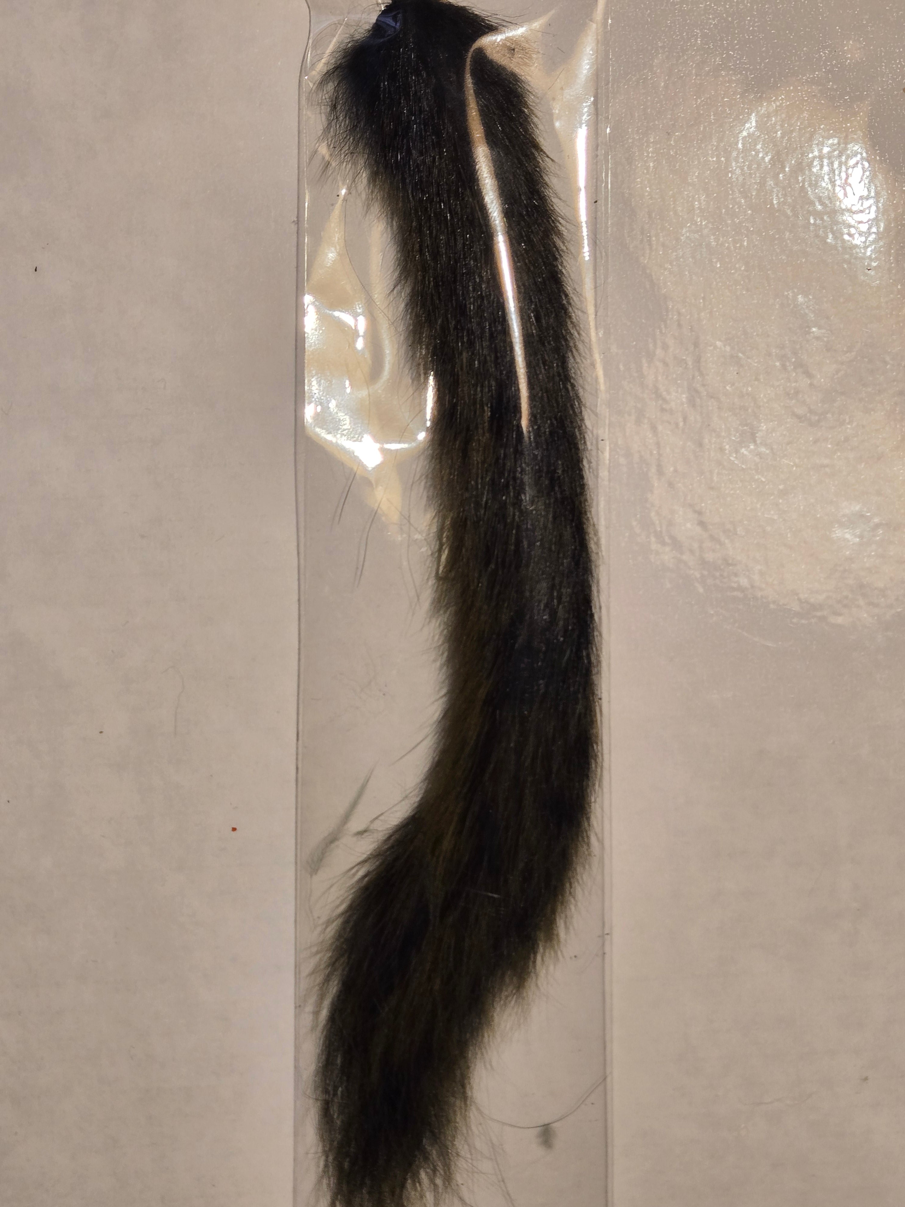 Squirrel Tail
