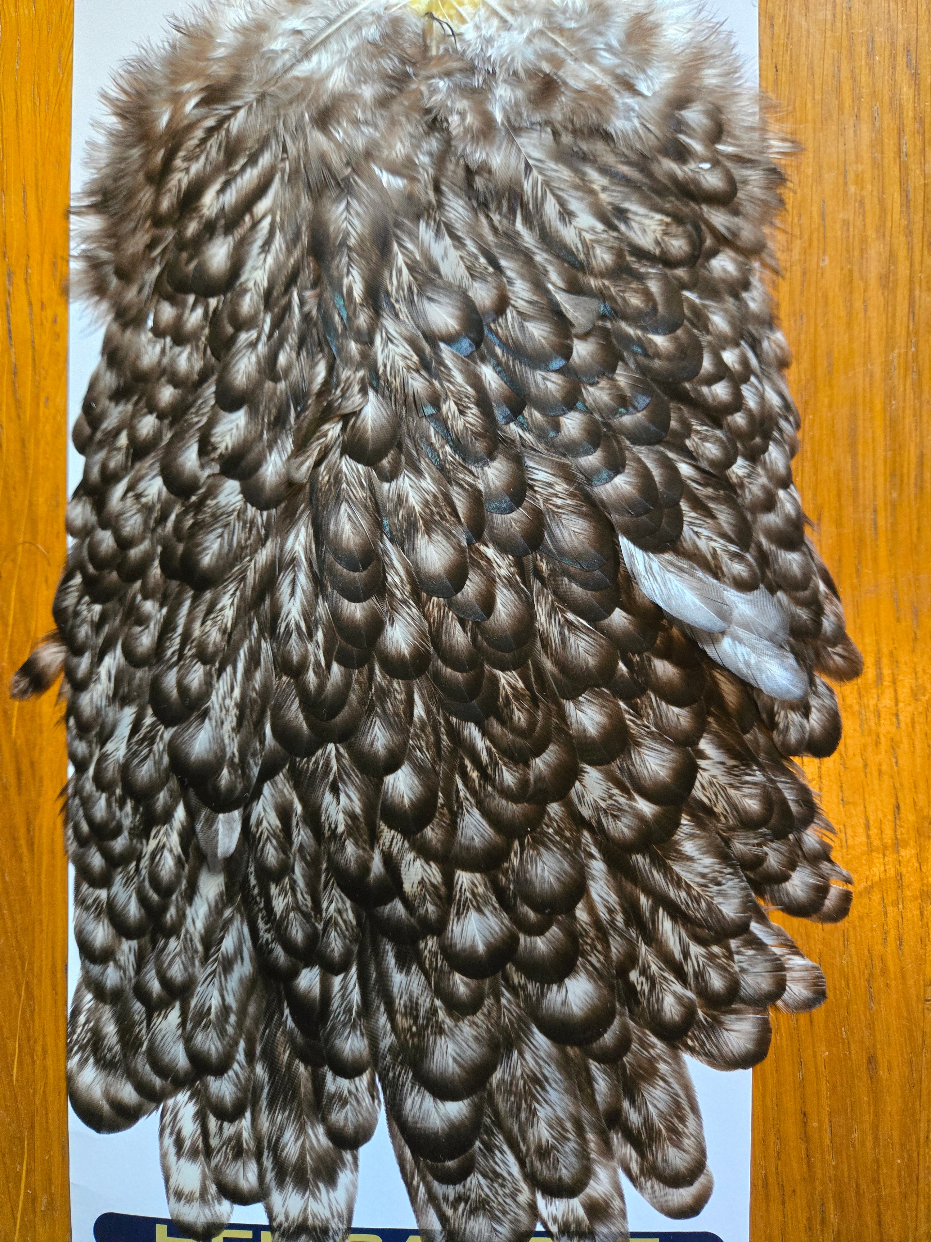 Whiting American Hackle - Hen Saddle Unique Variant (27)