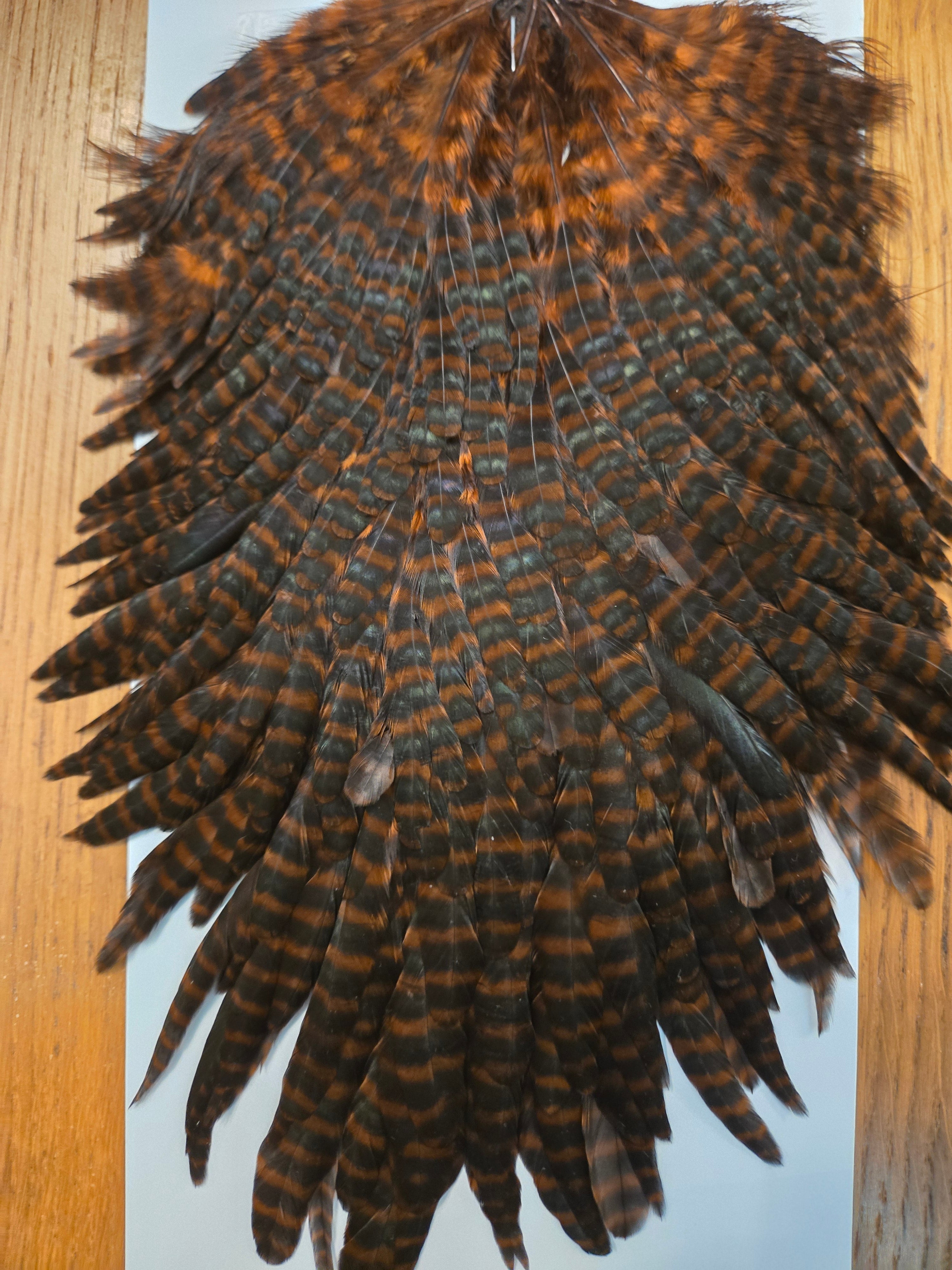 Whiting Wet Fly - Hen Saddle Grizzly Dyed Coachman Brown (13)