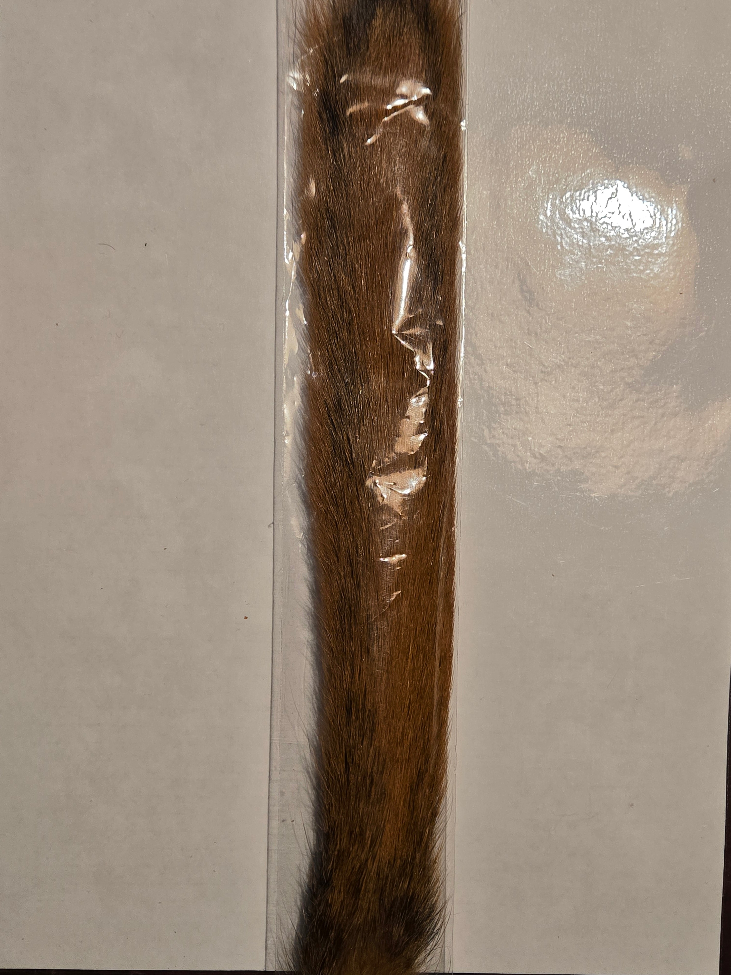 Squirrel Tail