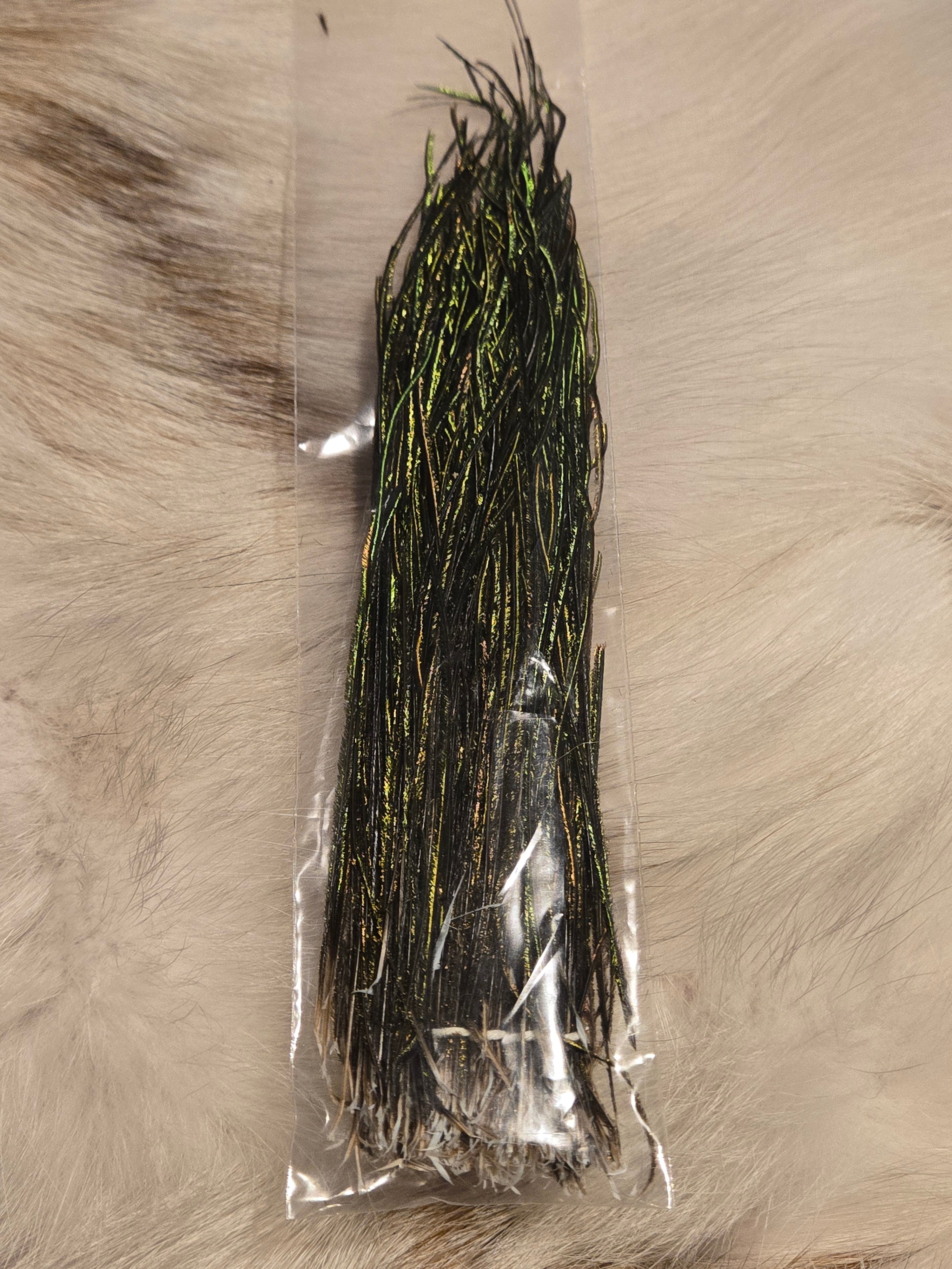 Peacock Herl - Natural (small Bag)